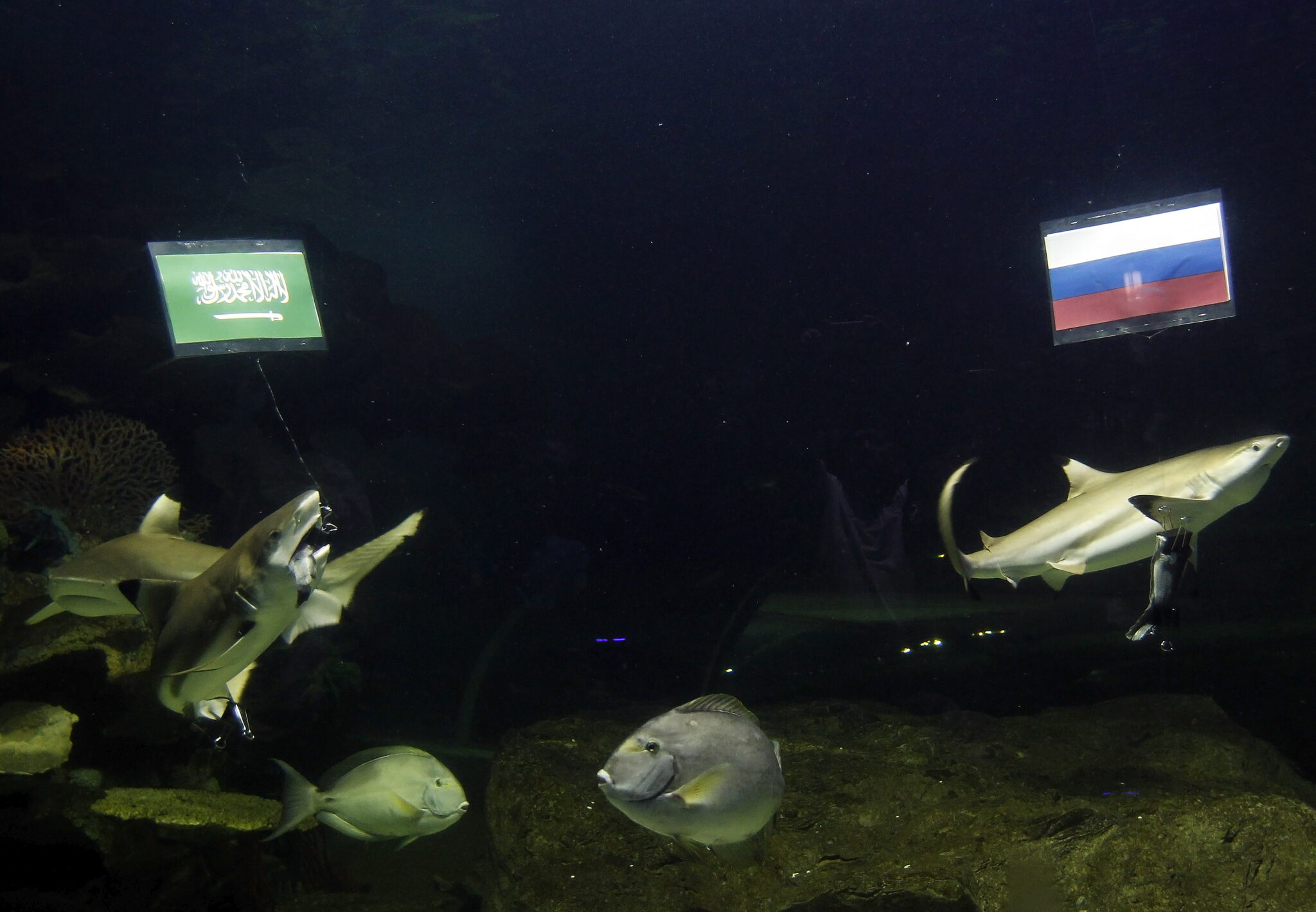 Ειδήσεις από όλο τον κόσμο μέσα από εικόνες