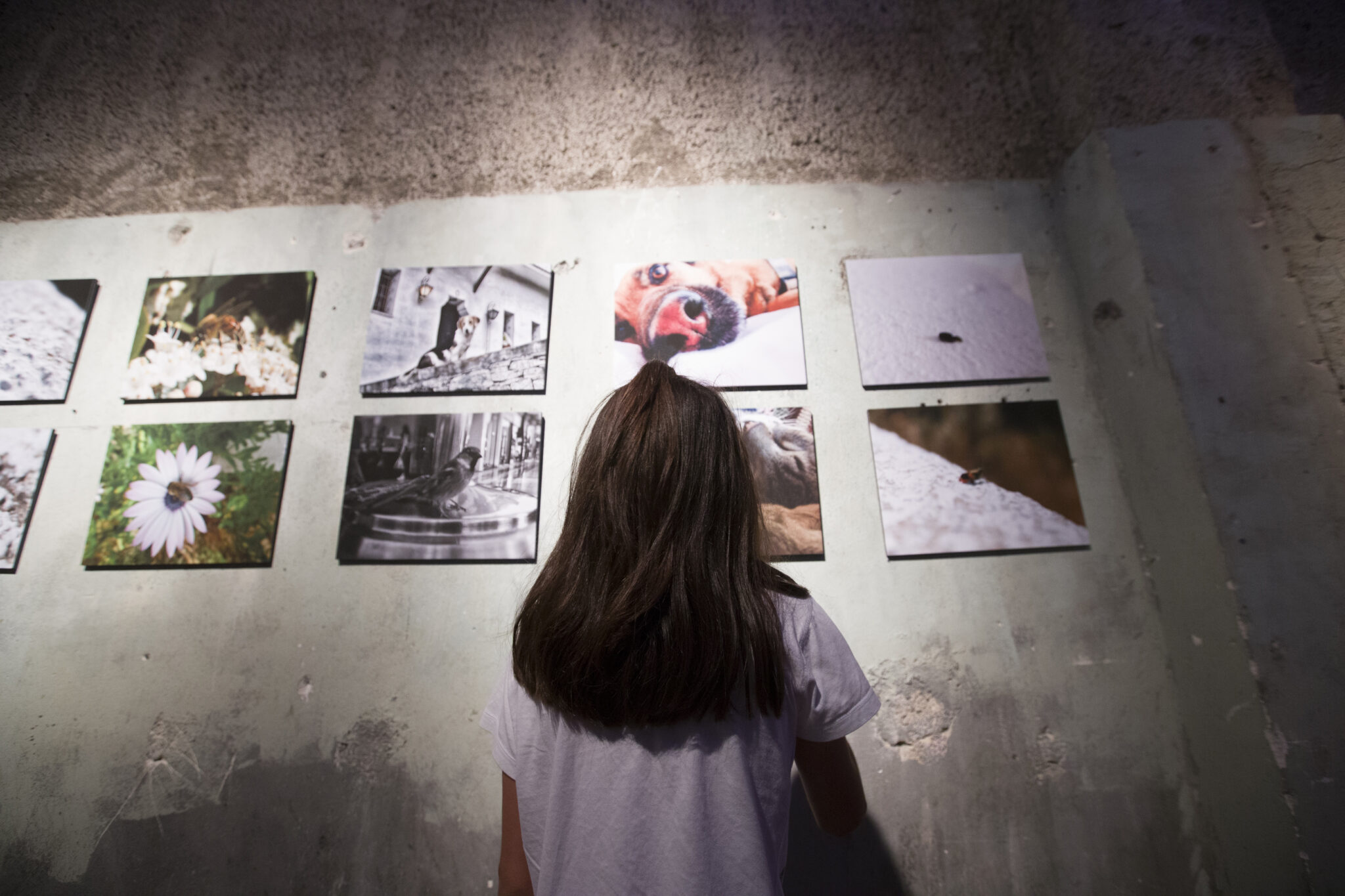 Έκθεση Φωτογραφίας του Παιδικού Χωριού SOS Βάρης  με την υποστήριξη της Samsung