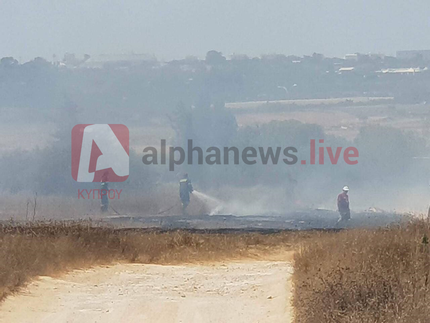 Πρωταράς:Υπό έλεγχο η πυρκαγιά που ξέσπασε στην περιοχή Άγιου Παντελεήμονα(ΦΩΤΟ)