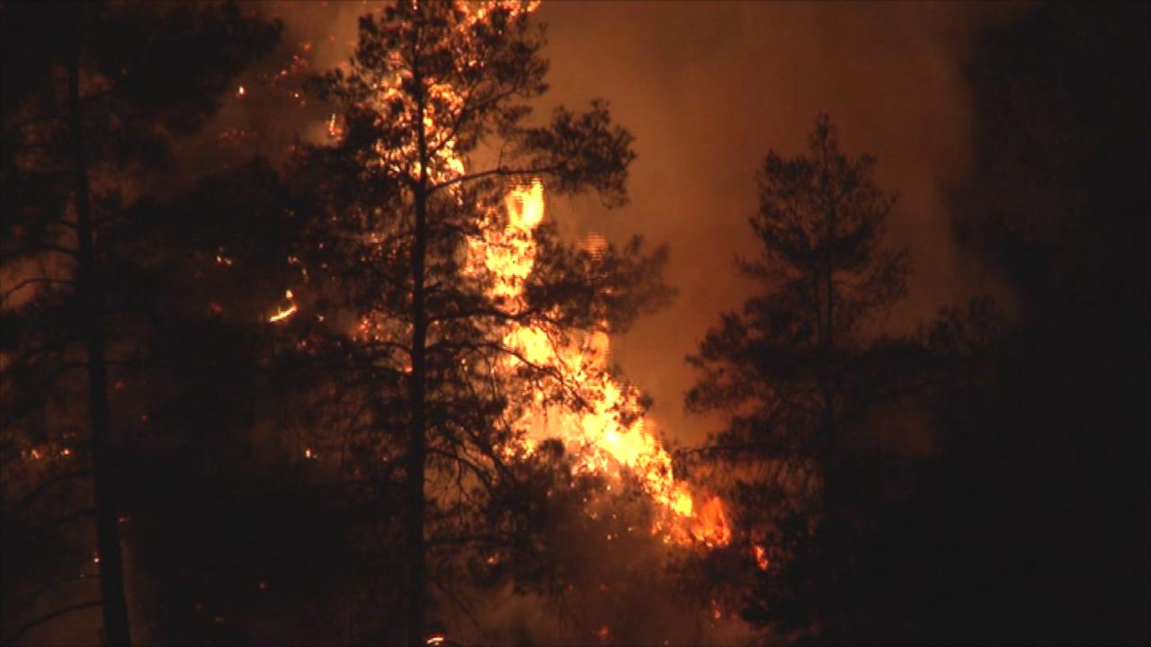 Ποινές…που "καίνε" ψήφισε η Βουλή για την πρόκληση πυρκαγιών (ΒΙΝΤΕΟ)