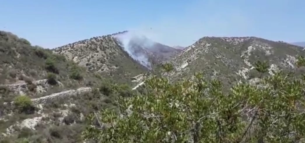 Λεμεσός: Εκτός ελέγχου η πυρκαγιά κοντά στο χωριό Αψιού (ΦΩΤΟ&ΒΙΝΤΕΟ)
