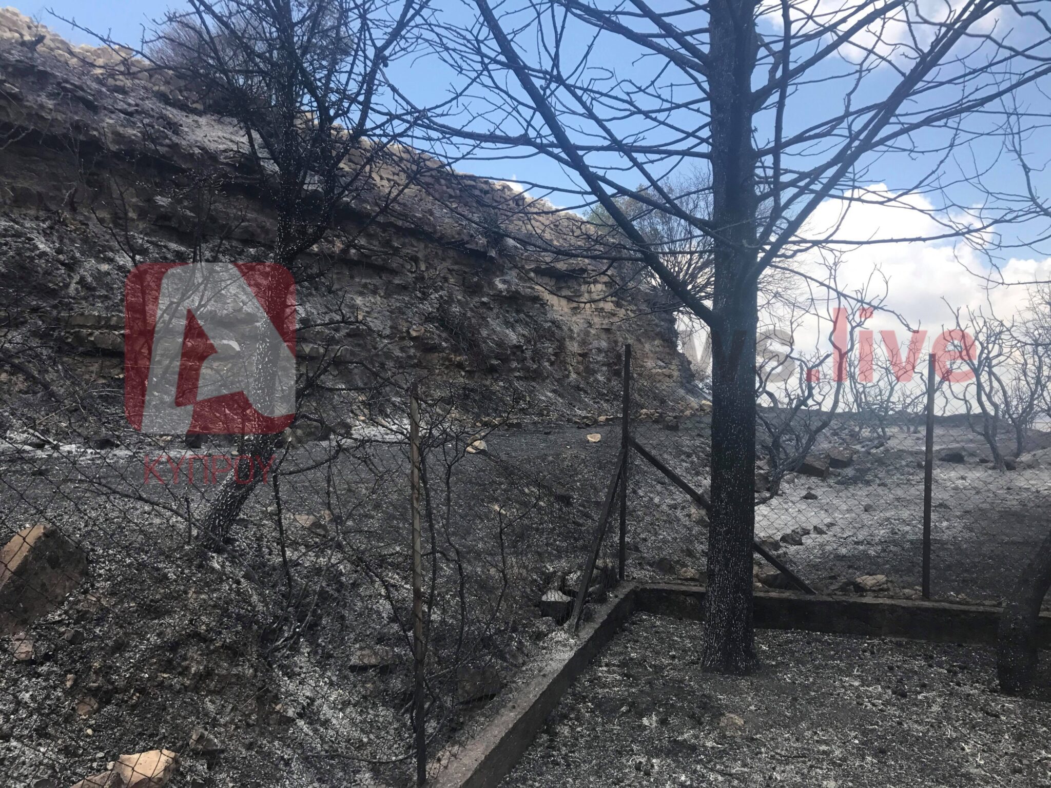 Πυρκαγιά  στην Πάχνα: Εκ πρώτης όψεως εμπρησμός (ΦΩΤΟ)