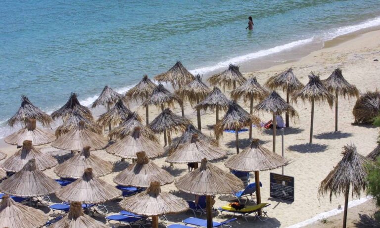 Γνωστή κοσμοπολίτικη παραλία της Μυκόνου γέμισε….αγελάδες! Κυριολεκτικά!(ΦΩΤΟ)