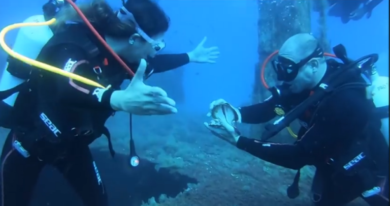 Είπε το "ναι" 23 μέτρα κάτω από την επιφάνεια της θάλασσας! (ΒΙΝΤΕΟ&ΦΩΤΟ)