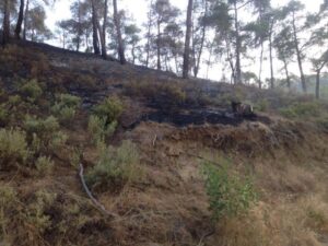 Συνελήφθησαν δύο υπάλληλοι της Επαρχιακής Διοίκησης για την πυρκαγιά στη Βίκλα