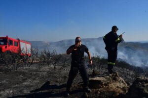 162 δασικές πυρκαγιές καταγράφονται κάθε χρόνο (ΒΙΝΤΕΟ)