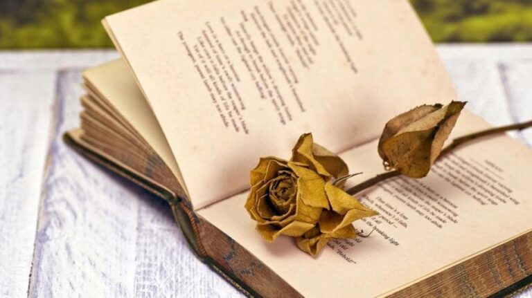 Τελικά η Κύπρος αγαπάει την ποίηση και το δείχνει έμπρακτα