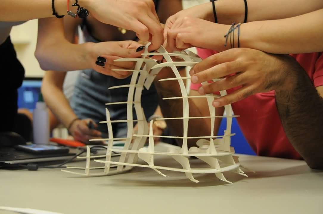 Οργανισμός Νεολαίας Κύπρου