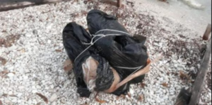 Κεφαλονιά: Η θάλασσα ξέβρασε 52 κιλά .. ναρκωτικά