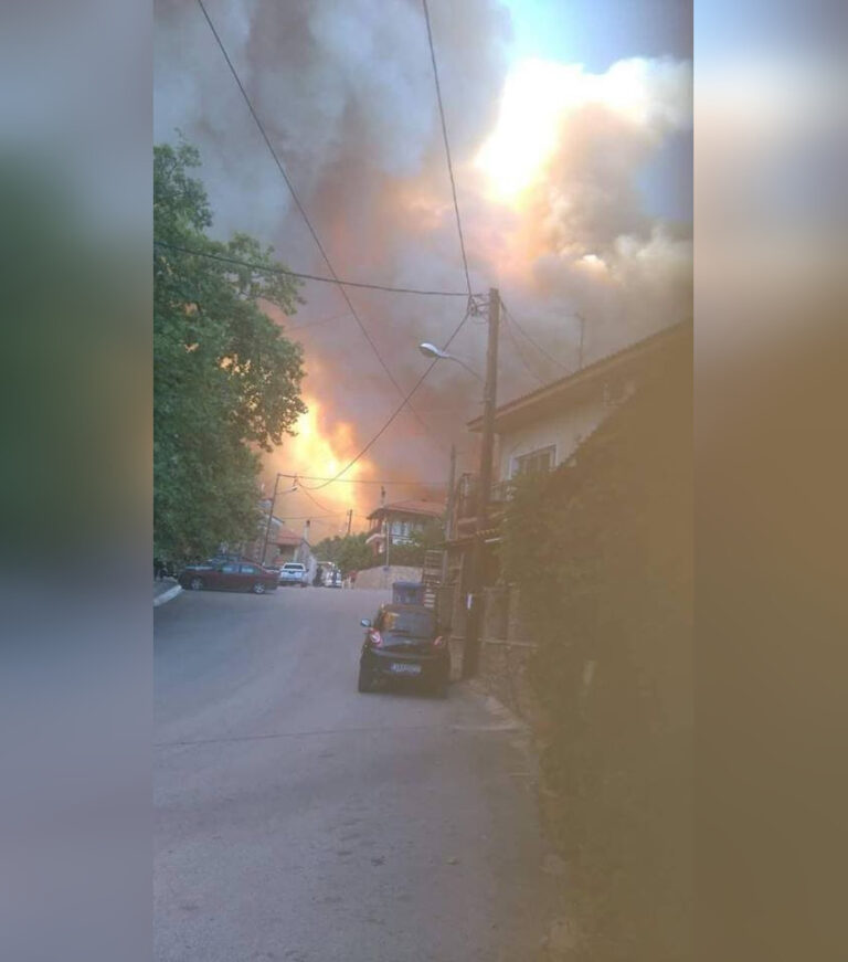 Εύβοια: Ανεξέλεγκτη πυρκαγιά σε δασική περιοχή απειλεί οικισμούς (ΒΙΝΤΕΟ&ΦΩΤΟ)