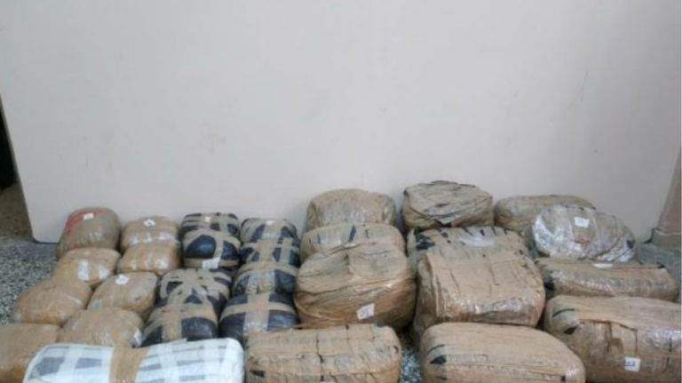 27χρονος έκρυψε 130 κιλά χασίς σε δάσος της Καστοριάς