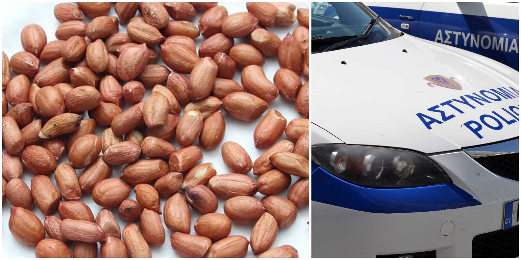 Περίεργα τα γούστα ληστών στην Πάφο που έκλεψαν 1.035 κιλά φυστίκια