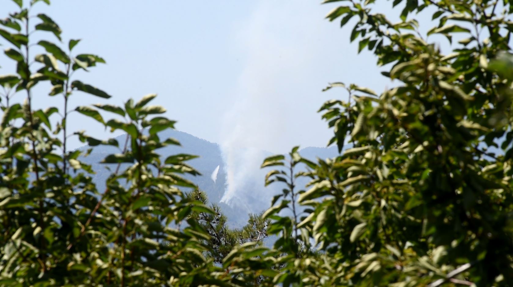 Χειροπέδες σε 66χρονο για την πυρκαγιά στο Μηλικούρι (ΒΙΝΤΕΟ)