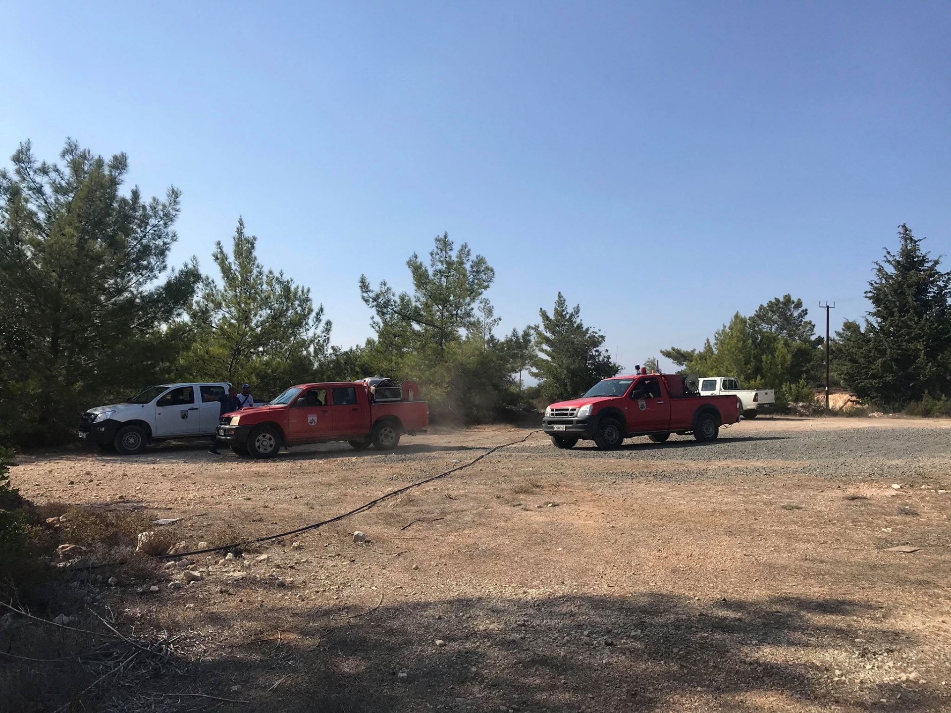 Υπό πλήρη έλεγχο η πυρκαγιά στο "Δάσος Πυκνής" στην Πέγεια (ΦΩΤΟ)