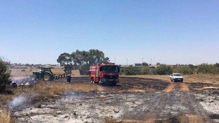 Τμήμα Δασών: "Κόκκινος συναγερμός" για την πρόκληση πυρκαγιών λόγω καύσωνα