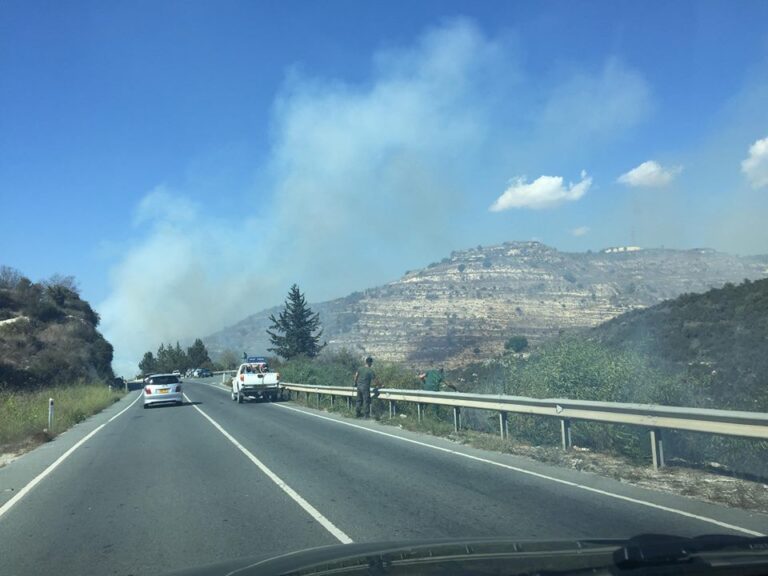 Τέσσερα δεκάρια άγριας βλάστησης κατέκαψε η πυρκαγιά στην Πόλη Χρυσοχούς
