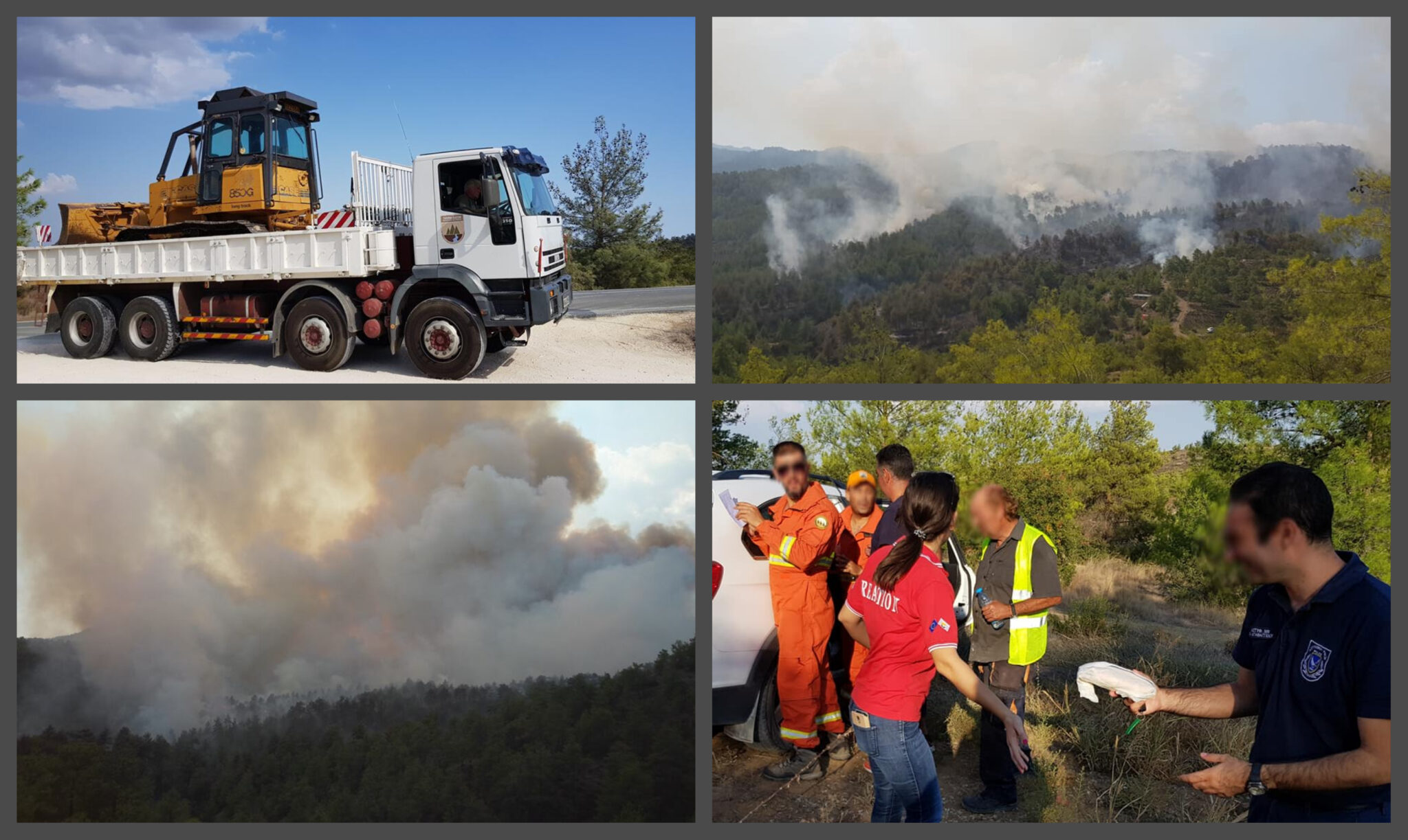Τεράστιες οι "πληγές" που άφησαν οι φλόγες στο Δάσος Μαχαιρά (ΦΩΤΟ)