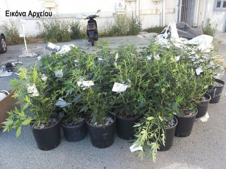 Γιάφκα ναρκωτικών σε υποστατικό 32χρονου (ΒΙΝΤΕΟ)