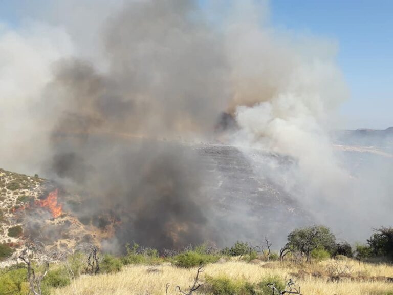 Πυρκαγιά μεταξύ Μαμώνιας και Αρχιμανδρίτας στην Πάφο
