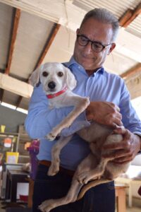 Ένα σκυλάκι από καταφύγιο υιοθέτησε ο ΔΗΣΥ (ΒΙΝΤΕΟ)