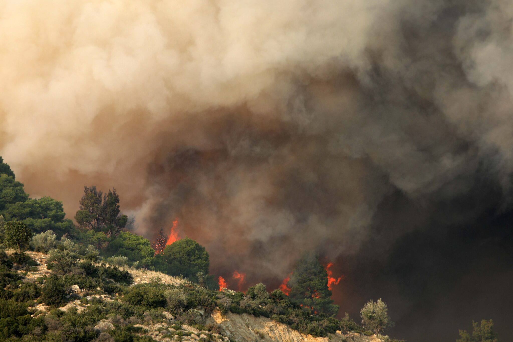Ολονύκτια μάχη για κατάσβεση της δασικής πυρκαγιάς στη Σιθωνία