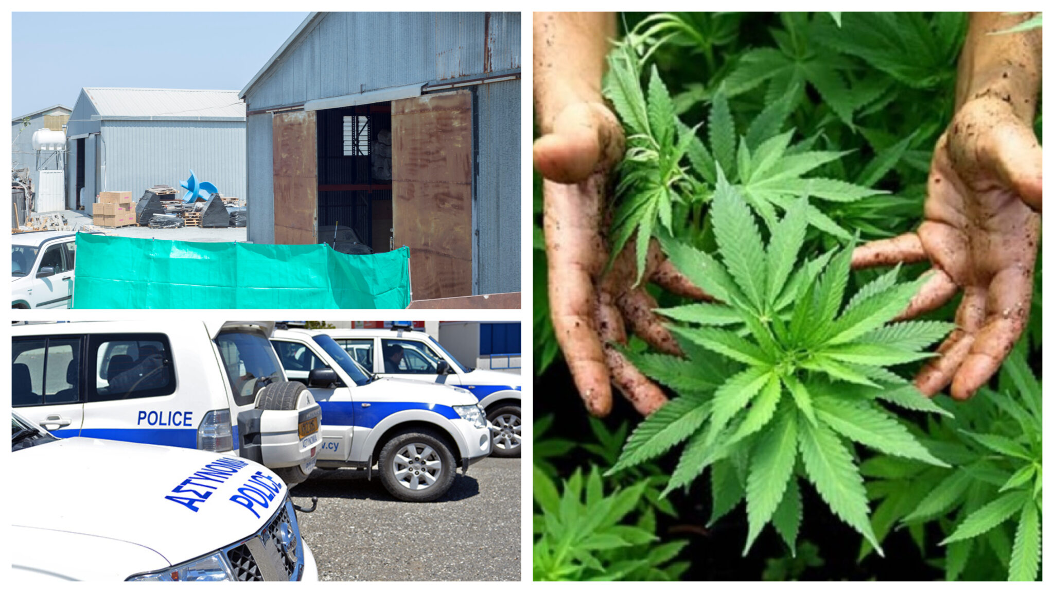 Αποκαλυπτικό: Εκατοντάδες κιλά κάνναβης σε αποθήκες στο Πελένδρι