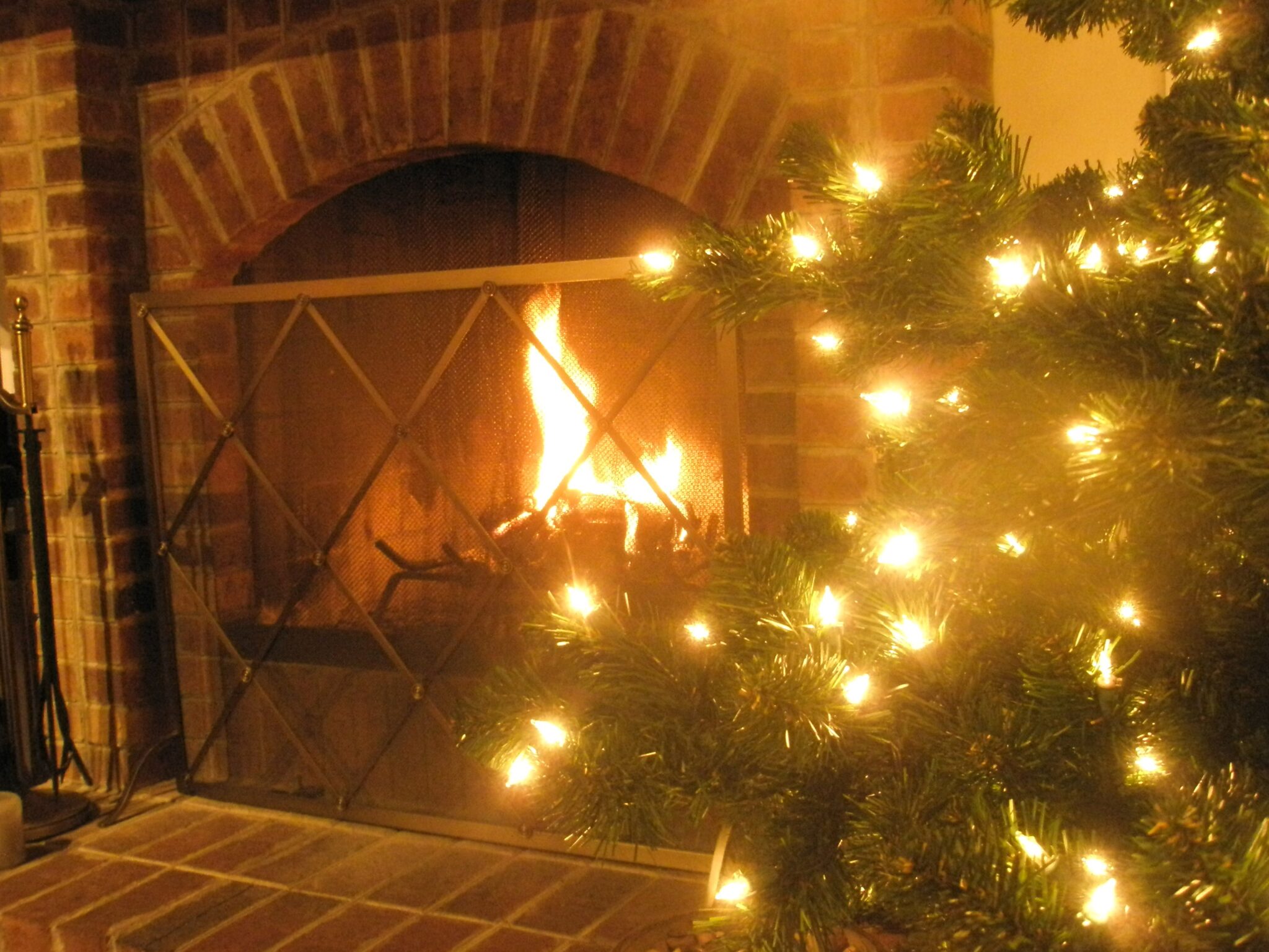 Αγόρασε αληθινό δέντρο για τα Χριστούγεννα
