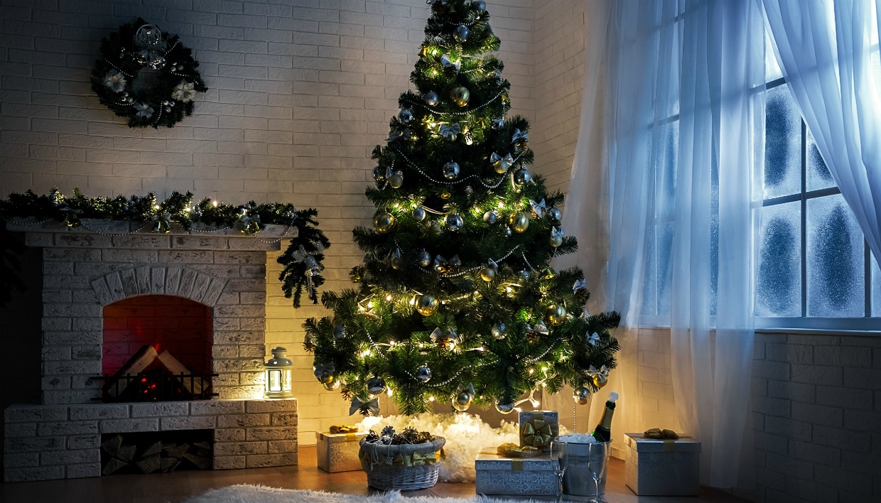 Που κυμαίνονται οι τιμές των φυσικών χριστουγεννιάτικων δέντρων (ΒΙΝΤΕΟ)