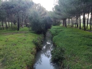 "Φούσκωσαν" τα νερά του χειμάρρου Καλόγερου στην Αγλαντζιά (ΒΙΝΤΕΟ&ΦΩΤΟ)