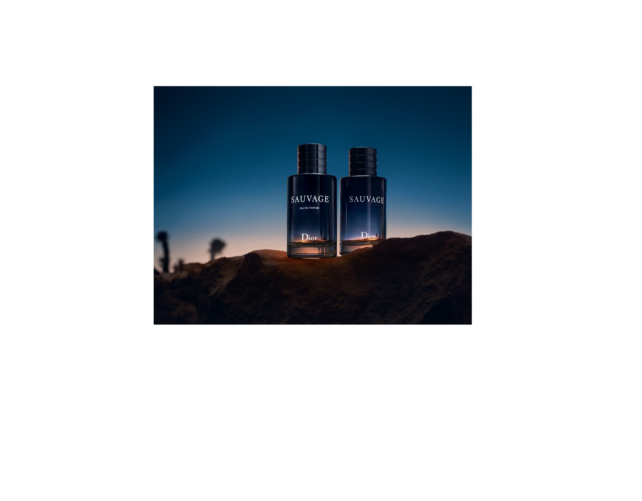 SAUVAGE EAU DE PARFUM