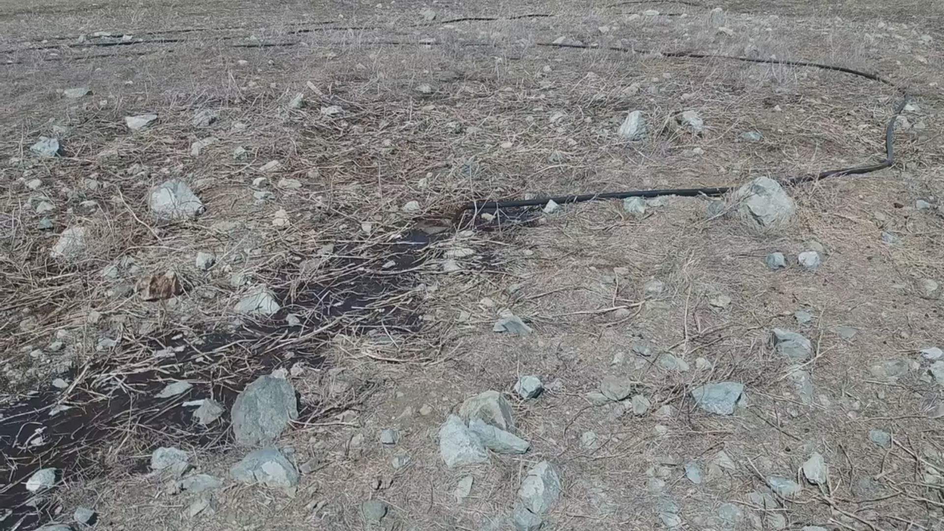 Καταγγελία: Παράνομες πρακτικές από κτηνοτροφικές μονάδες απειλούν τη Δημ. Υγεία