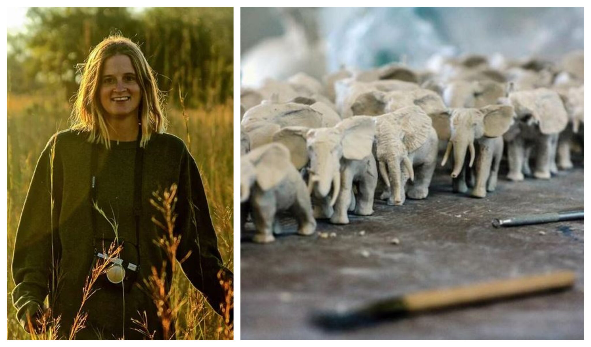 Φιλοτέχνησε ελέφαντες από πορσελάνη για να "αφυπνίσει" τον κόσμο (ΦΩΤΟ)