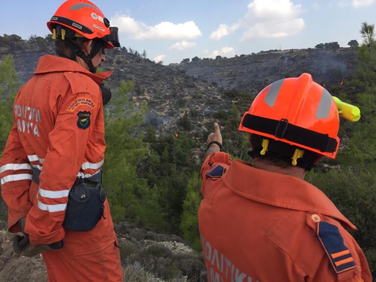 Επί ποδός η Πυροσβεστική για πυρκαγιά στην Τρεμιθούσα