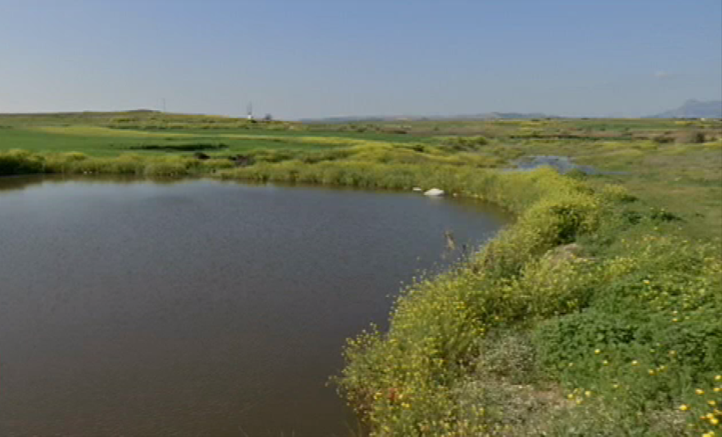 Σε βόθρο μετατράπηκε ένα ολόκληρο ποτάμι (BINTEO)