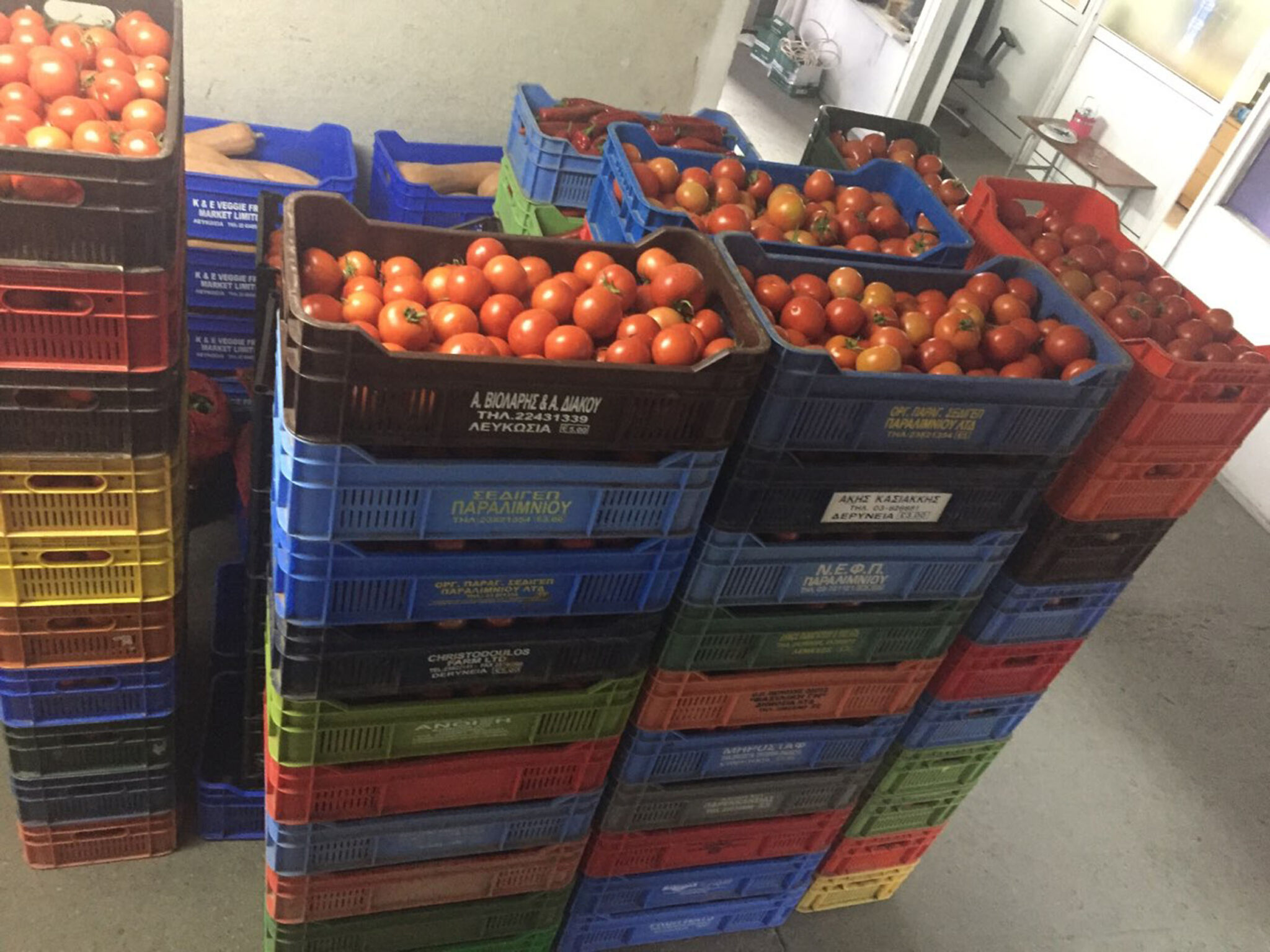 Προσπάθησε να περάσει 342 "κάσιες" φθαρτά από τα κατεχόμενα (ΦΩΤΟ)