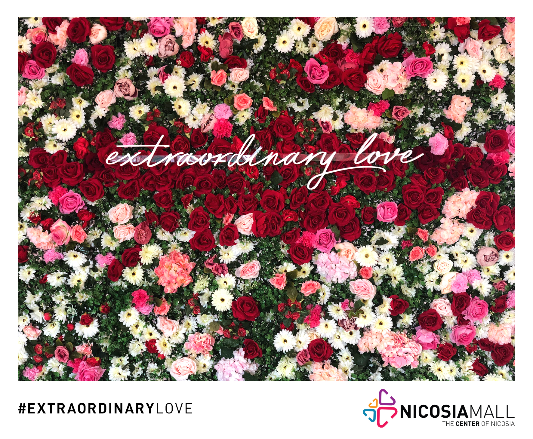 NICOSIA MALL – Η ΓΙΟΡΤΗ ΤΗΣ ΑΓΑΠΗΣ ΣΤΗ ΚΑΛΥΤΕΡΗ ΔΥΝΑΤΗ ΕΚΔΟΧΗ ΤΗΣ