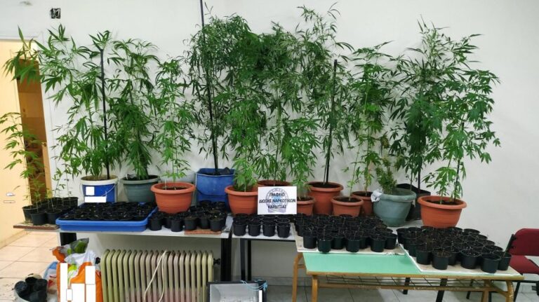 Mετέτρεψε εγκαταλελειμμένο χώρο σε φυτώριο κάνναβης