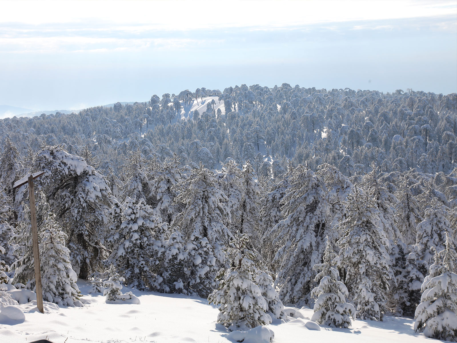Χιονίζει στο Τρόοδος "μια ανάσα" πριν τον Απρίλιο (ΒΙΝΤΕΟ)