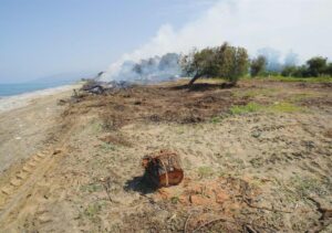 Εργασίες αποκατάστασης από το Τμήμα Δασών μετά την αποκοπή ακακιών (ΦΩΤΟ)