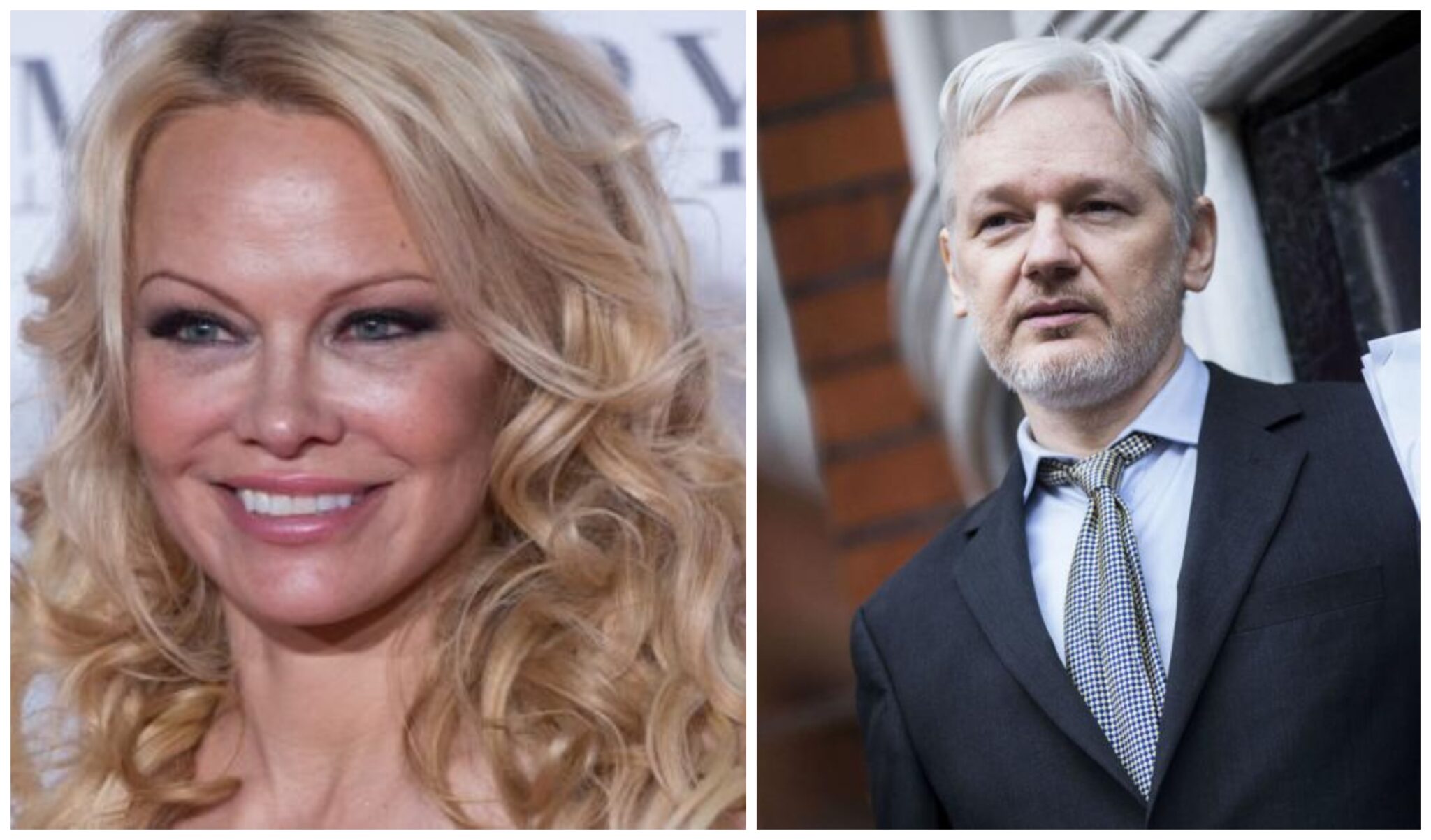 Η Παμελα Άντερσον εναντίον όλων εξαιτίας της σύλληψης του Ασάνζ