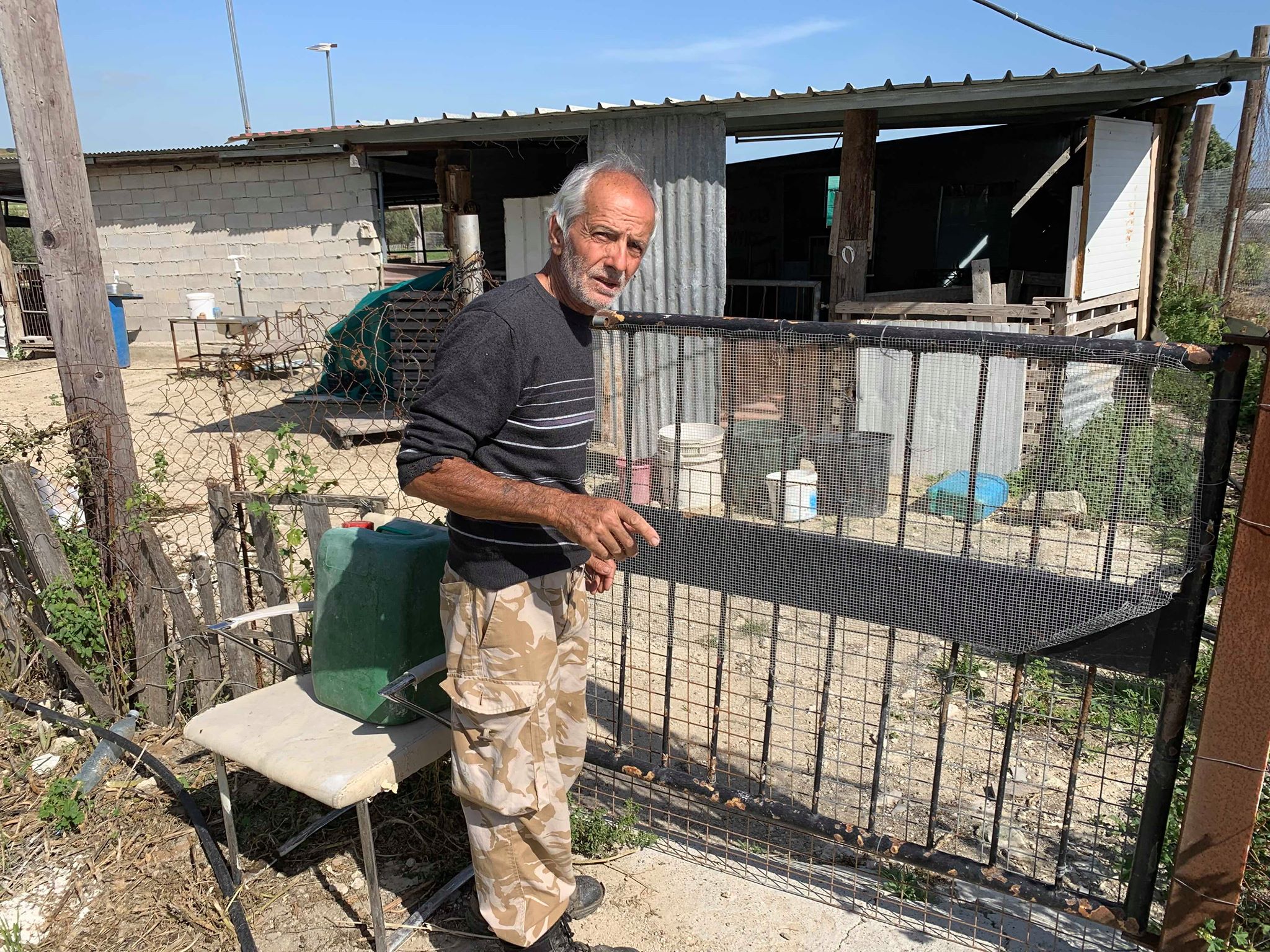 Αυξημένα κρούσματα κλοπής ζώων από μάντρες (BINTEO)