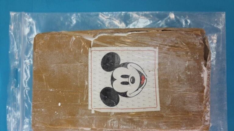 Διακινούσαν ναρκωτικά με σήμα το Mickey Mouse (ΦΩΤΟ)