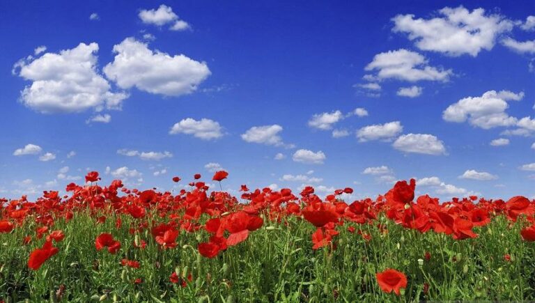 Τι περιλαμβάνει το σκηνικό του καιρού για το Πάσχα