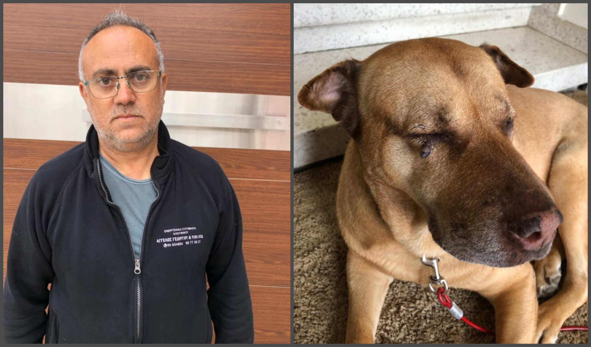 Επίθεση από Ροτβάιλερ δέχτηκαν ιδιοκτήτης και σκύλος στα Λειβάδια (ΒΙΝΤΕΟ&ΦΩΤΟ)