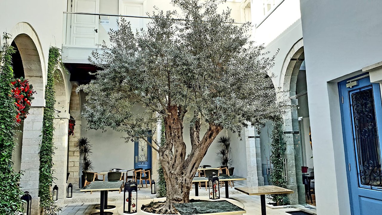 "Sir Paul": H νέα άφιξη στην πόλη της Λεμεσού που εντυπωσιάζει… (ΦΩΤΟ)