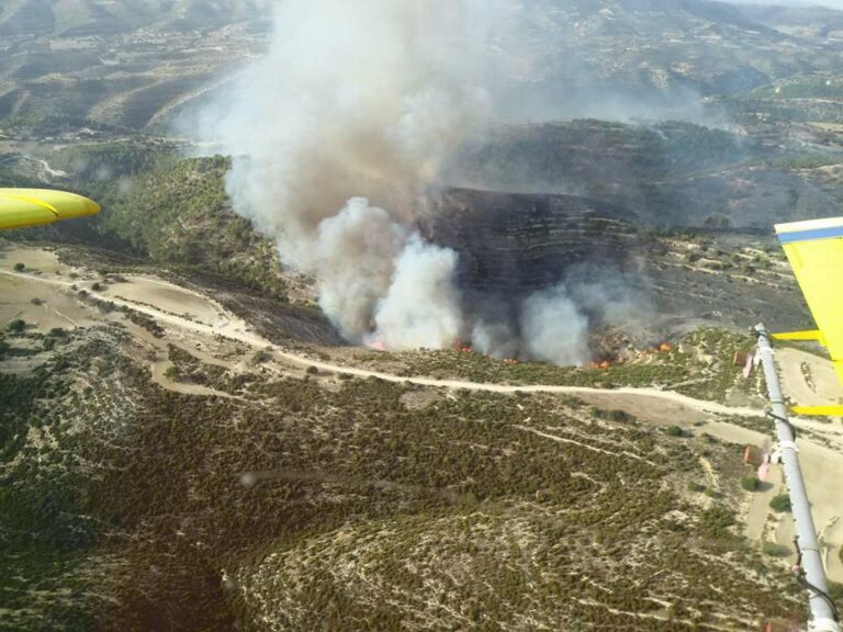 Κόκκινος Συναγερμός για την πρόκληση δασικών πυρκαγιών