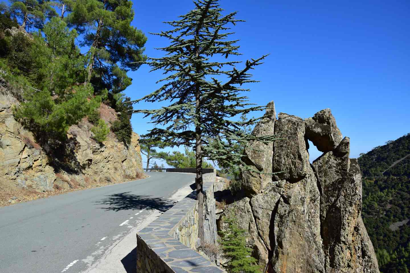 Αυτοκίνητο έπεσε σε γκρεμό ύψους 20 μέτρων στον Πεδουλά