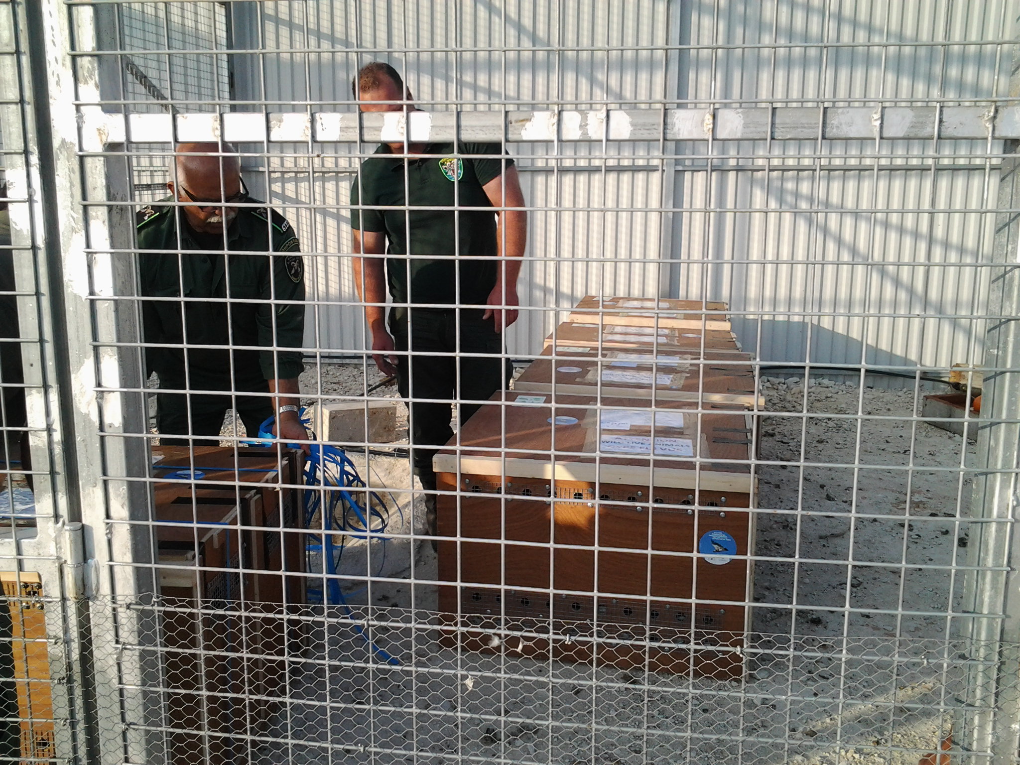 Τραυματισμός θηροφύλακα κατόπιν άγριας καταδίωξης τα ξημερώματα