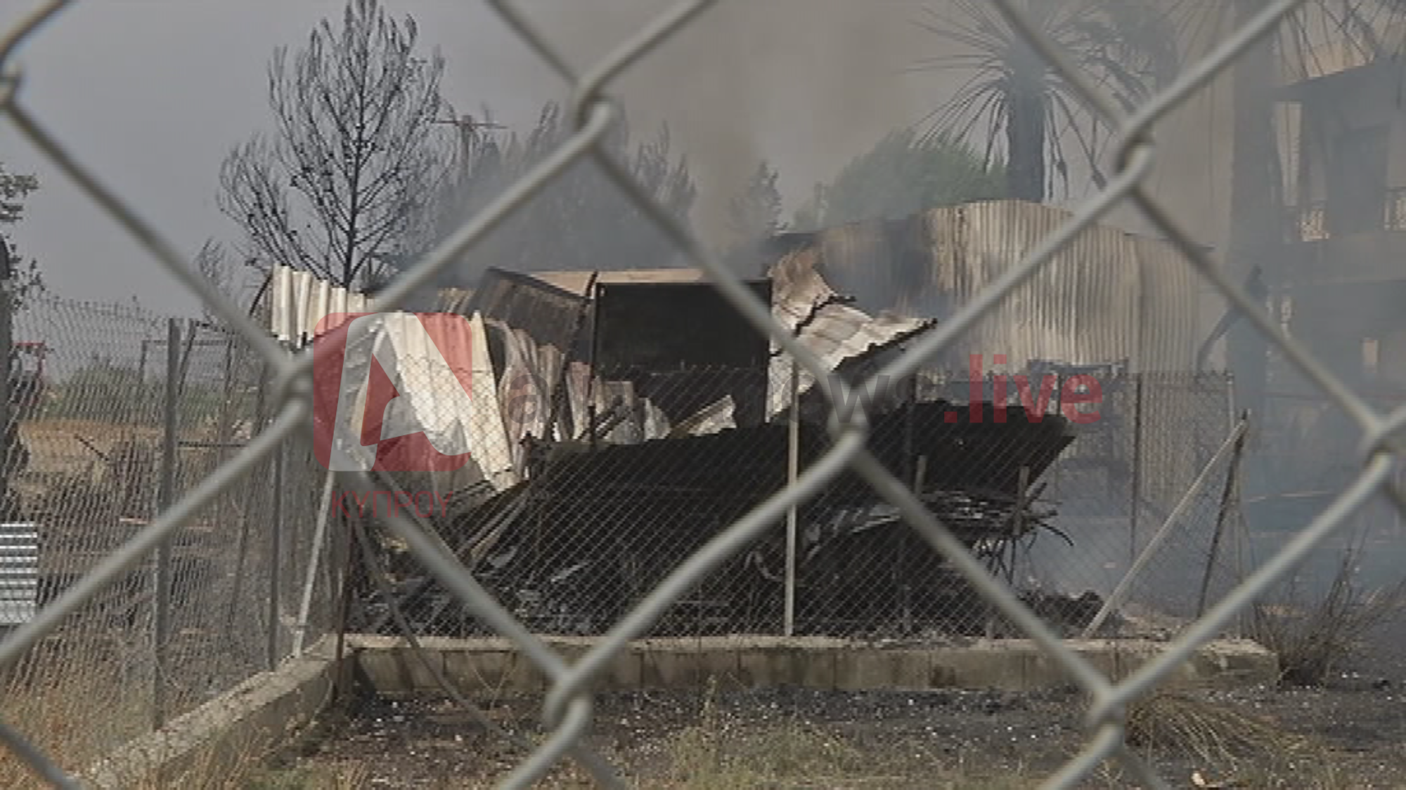Δεν κατάφεραν να σώσουν σκύλο από τις φλόγες στην Ποταμιά (ΦΩΤΟ)