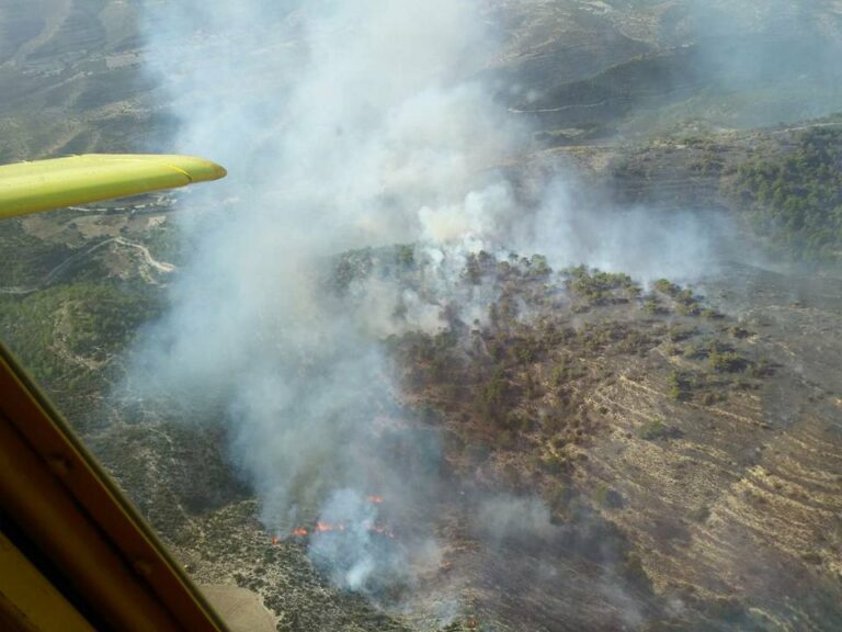 Συναγερμός για πυρκαγιές λόγω καύσωνα (ΒΙΝΤΕΟ)